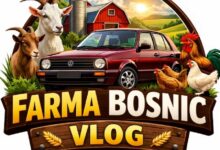 Omer Bosnić Vlog