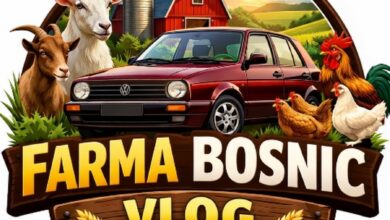 Omer Bosnić Vlog