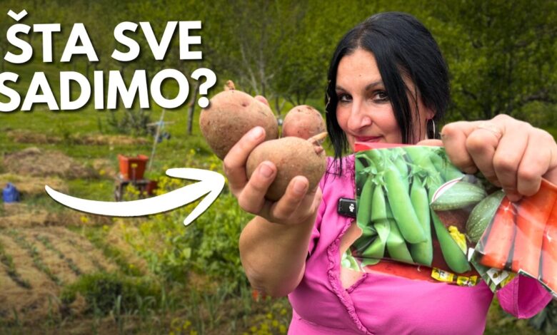 Šta Sve Sadimo u MAJU?