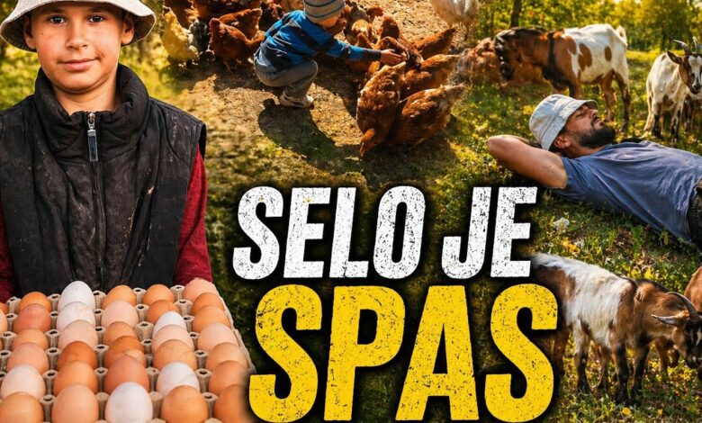 Život je postao toliko brz, da čovjek nema vremena za sebe
