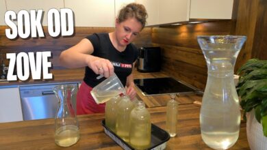 Domaći sok od zove ili bazge – sirup bez konzervansa